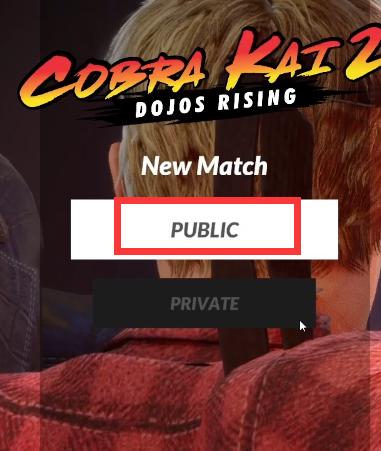 PS4《眼镜蛇2：道场崛起（Cobra Kai 2: Dojos Rising）》英文版pkg下载v1.03-12.jpg