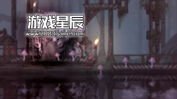 【5.05】PS4《盐与献祭 Salt & Sacrifice》中文版PKG下载+2.03补丁-2.jpg